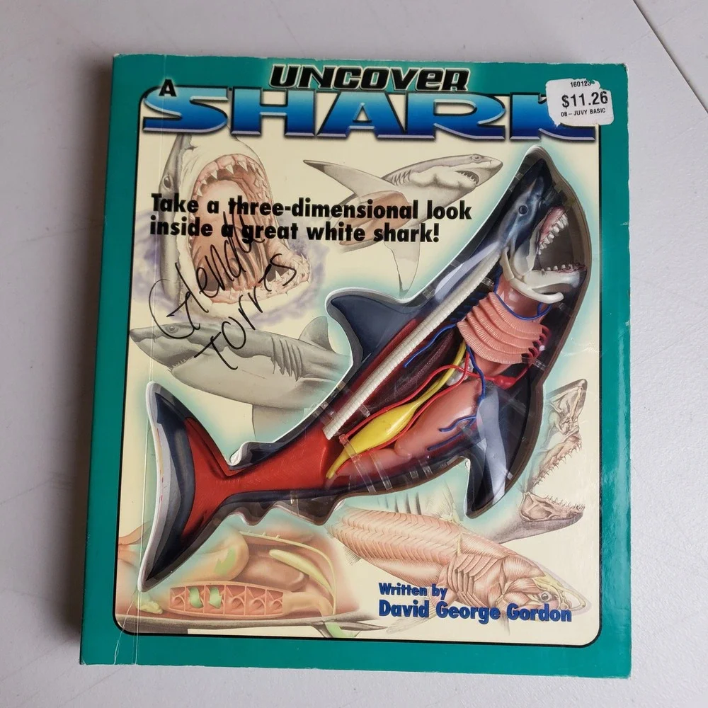 Uncover a Shark David George Gordon 3D Anatomy Model Board Book Silver Dolphin